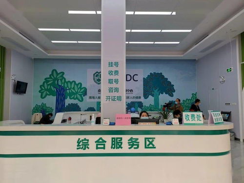 大瀝預(yù)防保健門(mén)診正式揭牌 夯實(shí)基層健康防線，推動(dòng)全鎮(zhèn)基本公共衛(wèi)生服務(wù)再上新臺(tái)階