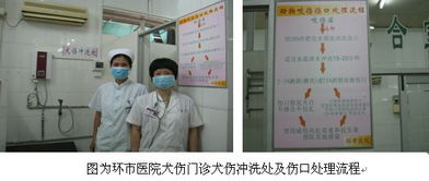 環(huán)市醫(yī)院犬傷門(mén)診正式啟用 拓展社區(qū)服務(wù)版圖，筑牢公共衛(wèi)生防線